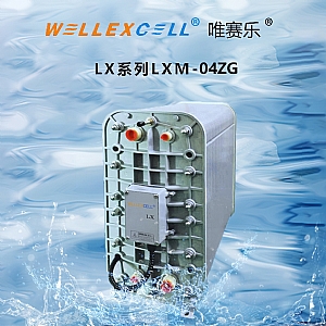 WELLEXCELL唯赛乐LXM04ZG EDI膜块 EDI模块